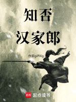 汉家郎封面