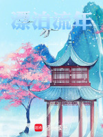 漂泊流年封面