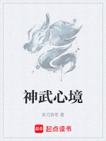 神武心境封面