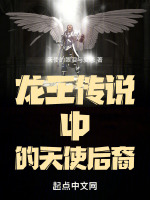 龙王传说中的天使后裔封面