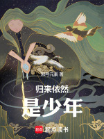 归来依然是少年封面