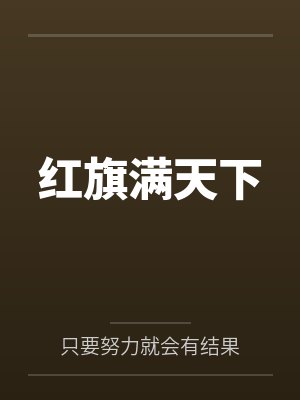 红旗满天下封面