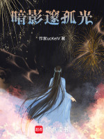 暗影邃孤光封面