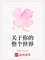 关于你的整个世界封面