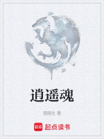 逍遥魂封面