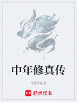中年修真传封面