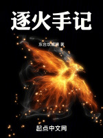 逐火手记封面