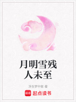 月明雪残人未至封面