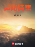 灵阳诗词集封面