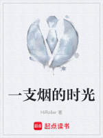 一支烟的时光封面