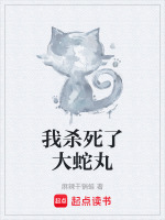 我杀死了大蛇丸封面