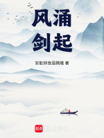 风涌剑起封面