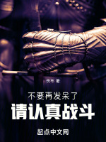 不要再发呆了,请认真战斗!!!封面