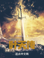 江湖之叶天传封面