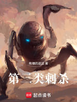 第三类刺杀封面
