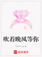 吹着晚风等你封面
