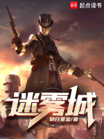 迷雾城封面