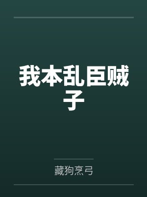 我本乱臣贼子封面