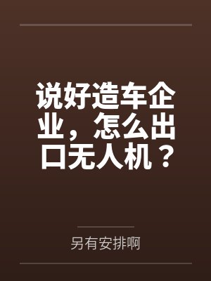 说好造车企业，怎么出口无人机？封面