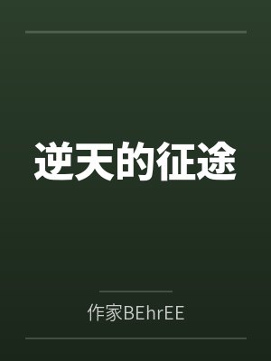 逆天的征途封面