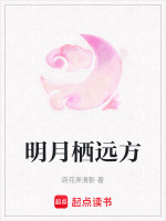 明月栖远方封面