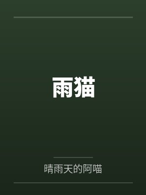 雨猫封面