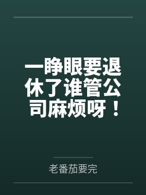 一睁眼要退休了谁管公司麻烦呀！封面