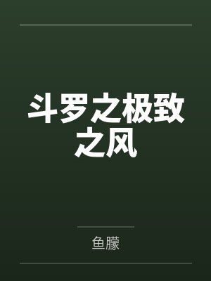 斗罗之极致之风封面
