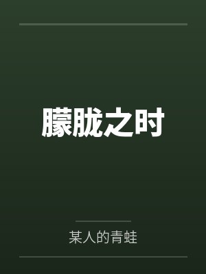 朦胧之时封面