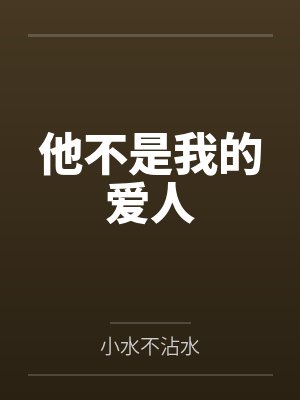他不是我的爱人封面