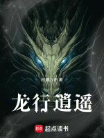 龙行逍遥封面