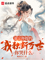 退宗你提的，我独断万古你哭什么封面