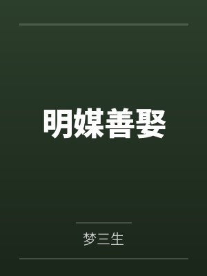 明媒善娶封面