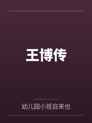 王博传封面