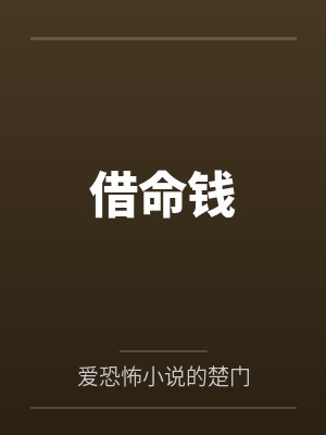 借命钱封面