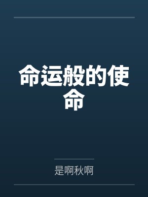 命运般的使命封面
