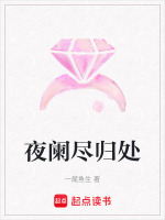 夜阑尽归处封面