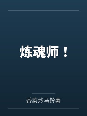 炼魂师！封面