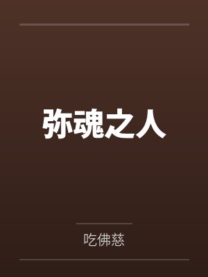 弥魂之人封面