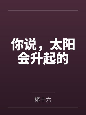 你说，太阳会升起的封面