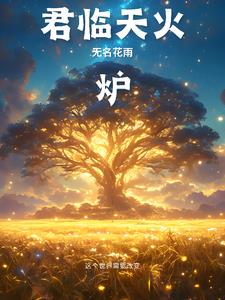 君临天火炉封面