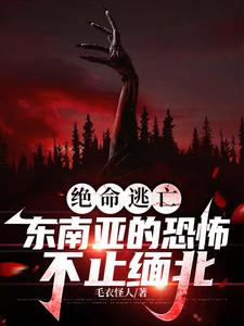 绝命逃亡,东南亚的恐怖不止缅北封面