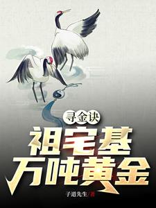 寻金诀【祖宅基万吨黄金】封面