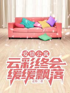爱情公寓：云彩终会缓缓飘落封面