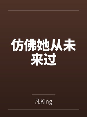 仿佛她从未来过封面