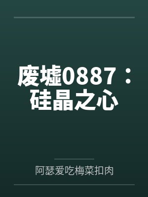 废墟0887：硅晶之心封面