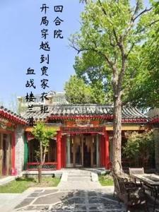 四合院：开局穿到贾家衣柜里封面