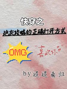 反攻略小说封面