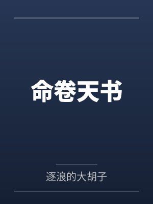 命卷天书封面