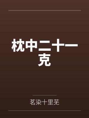 枕中二十一克封面